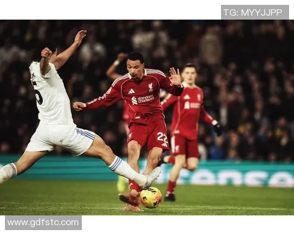 维尔茨与埃基蒂克搭档逐渐成熟2亿投资助力球队新篇章